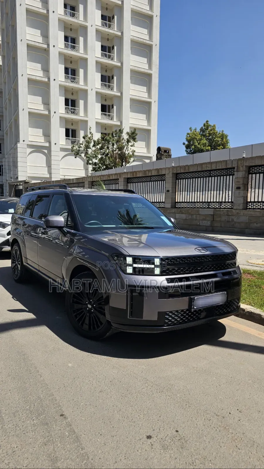 Hyundai Santa Fe 2024 Brown
