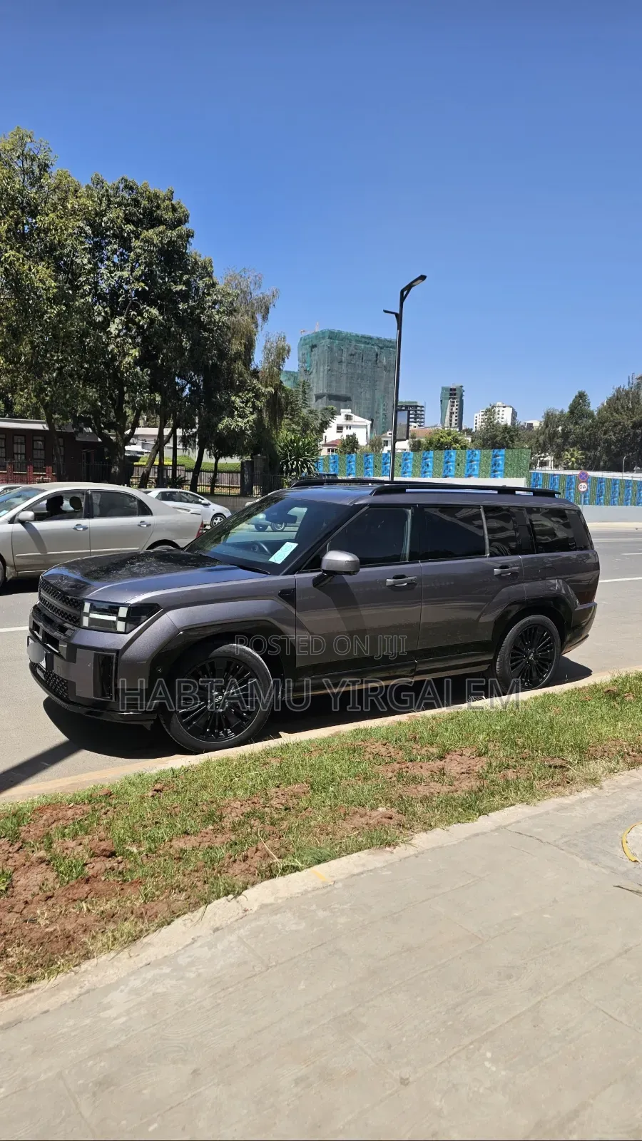 Hyundai Santa Fe 2024 Brown