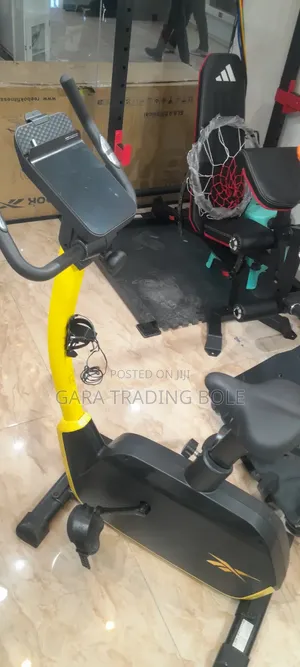 Reebok FR30 Exercise Bike – Heavy-Duty Indoor Cycling!