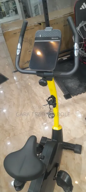  Reebok FR30 Exercise Bike – Powerful Cardio Training!
