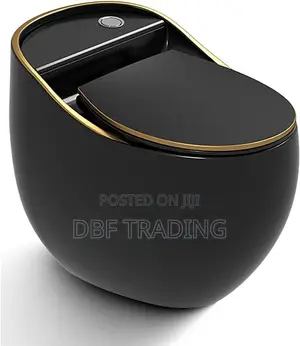 Modern Egg Shape WC Toilet Sink – White & Black Gold