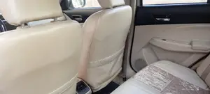 Driver With a Car