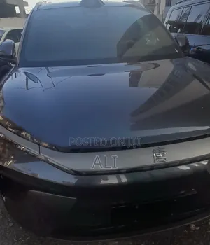New BYD Tang EV 2025 Gray
