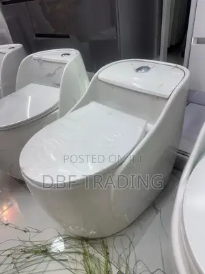 Modern Egg Shape WC Toilet Sink - Gold Dragon Addis Ababa