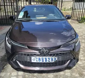 Toyota Corolla 2021 Brown