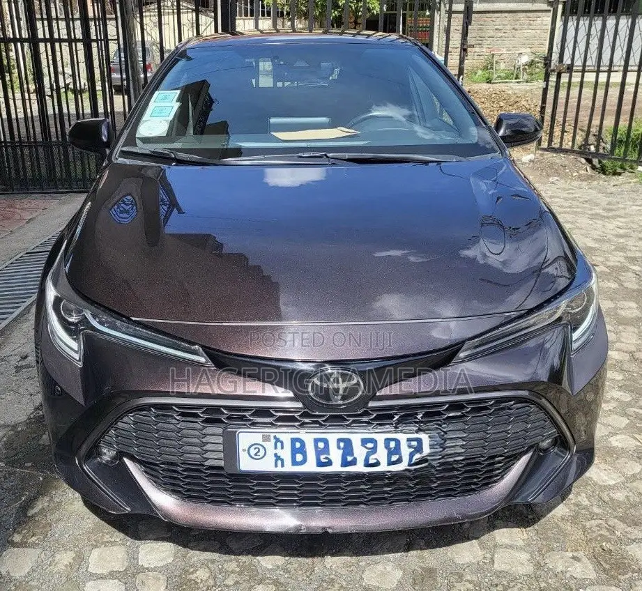 Toyota Corolla 2021 Brown