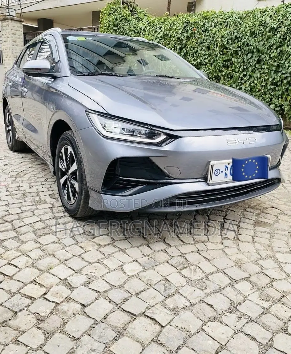 BYD E2 43 kWh 94 hp FWD 2025 Gray