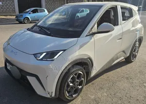 BYD Seagull 2024 White