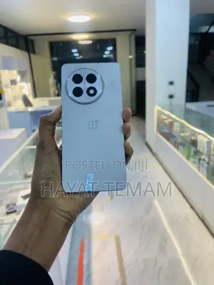 OnePlus 13R 256 GB