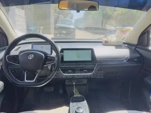 Dongfeng EV EX1 33 kW FWD 2023 White