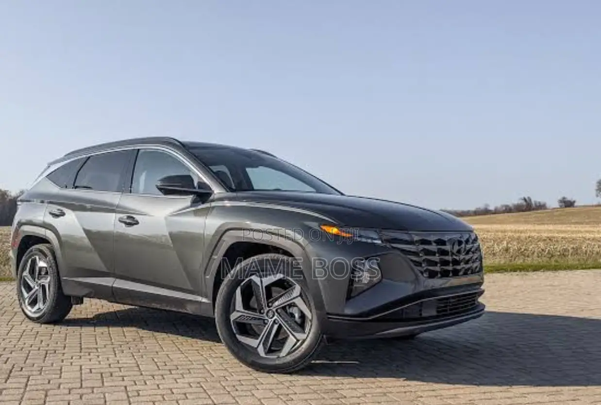 Hyundai Tucson N Line 2022 Gray