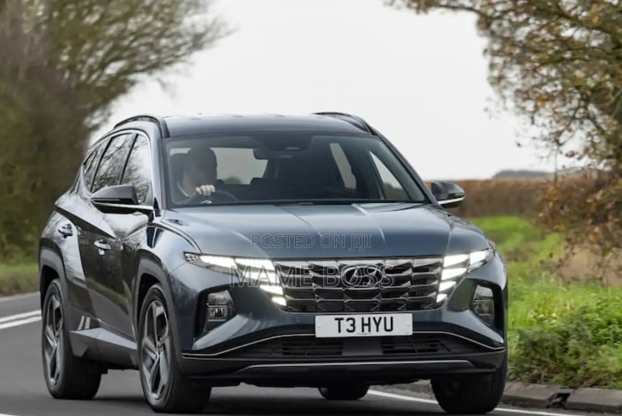 Hyundai Tucson N Line 2022 Gray