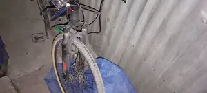Phoenix Mountain Bicycle for Sale