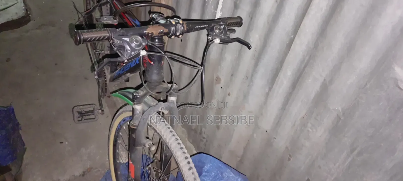 Phoenix Mountain Bicycle for Sale