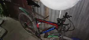 Phoenix Mountain Bicycle for Sale