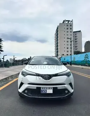 Car 2019 White