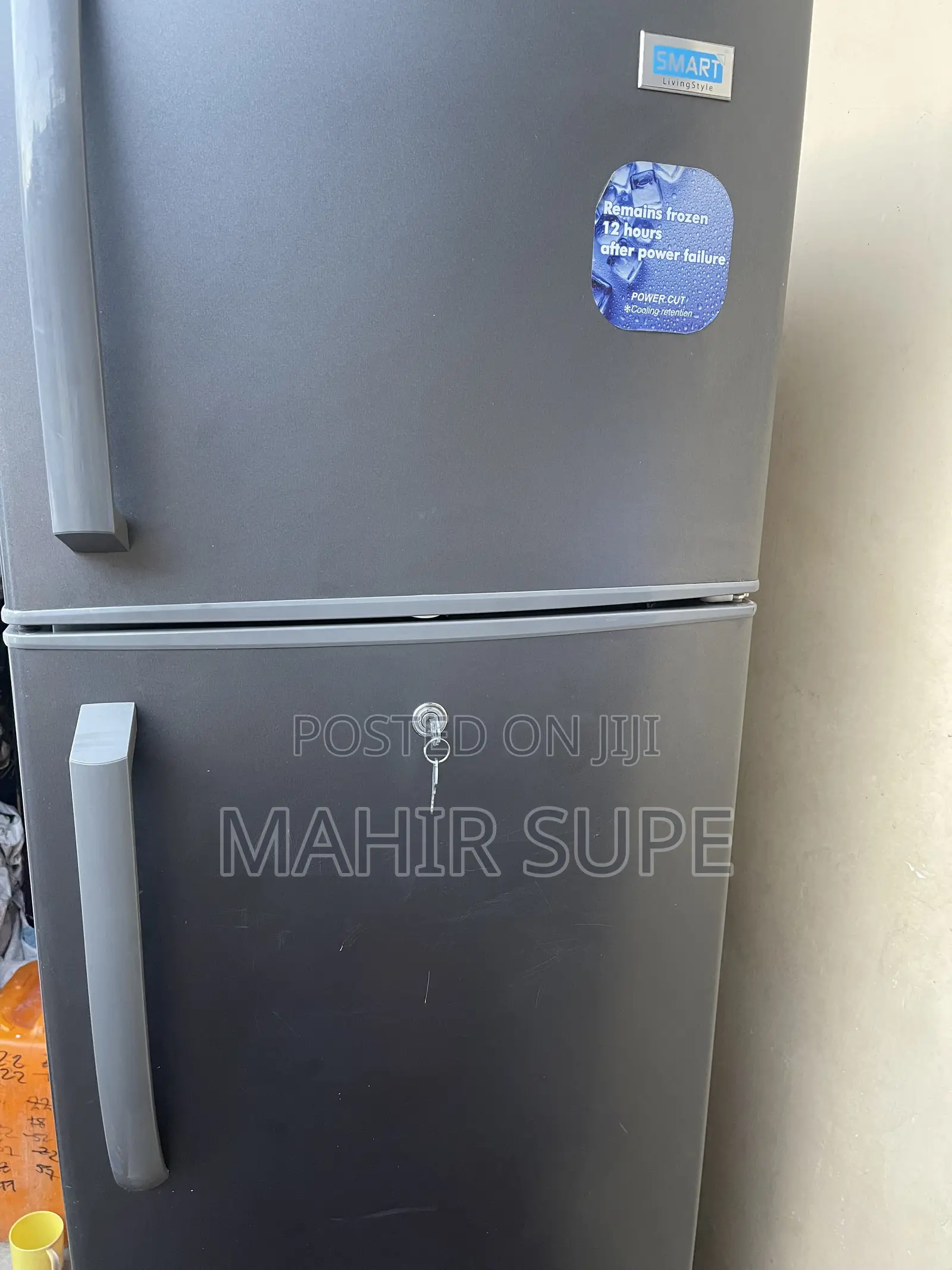 Smart 320 Litter Fridge
