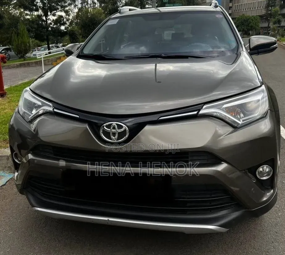 Toyota RAV4 2016 Gray