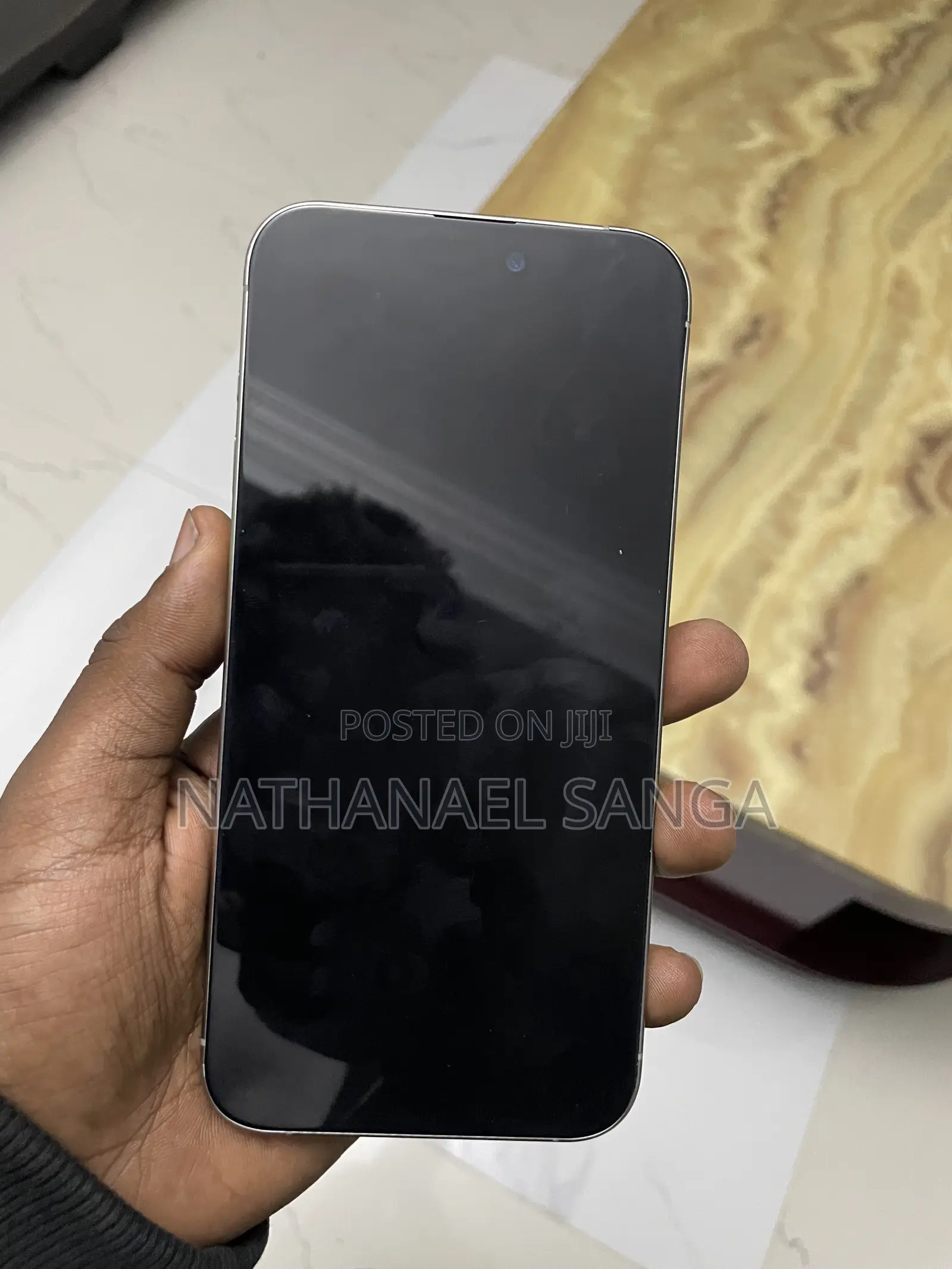 Apple iPhone 15 Pro Max 256 GB Silver