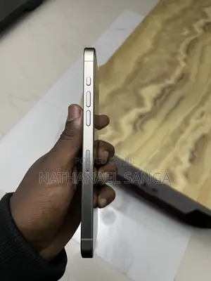 Apple iPhone 15 Pro Max 256 GB Silver