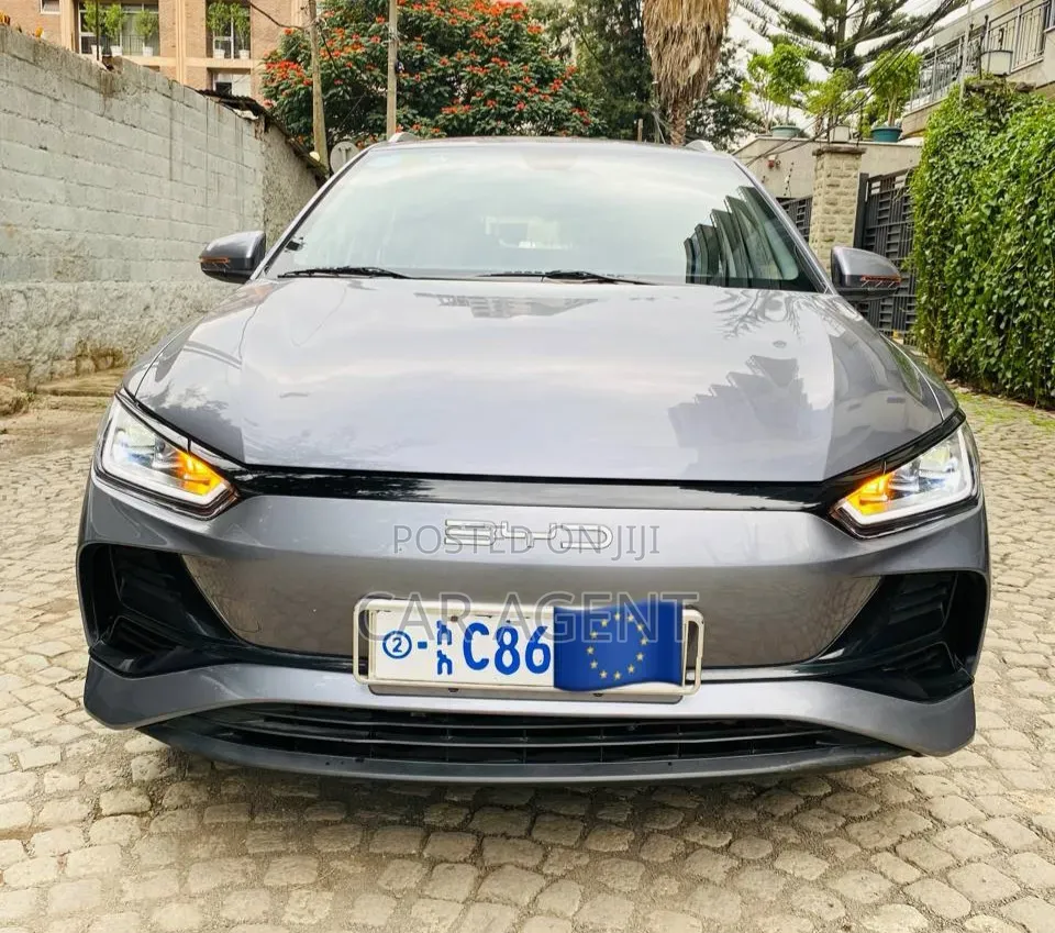 BYD E2 43 kWh 94 hp FWD 2025 Gray
