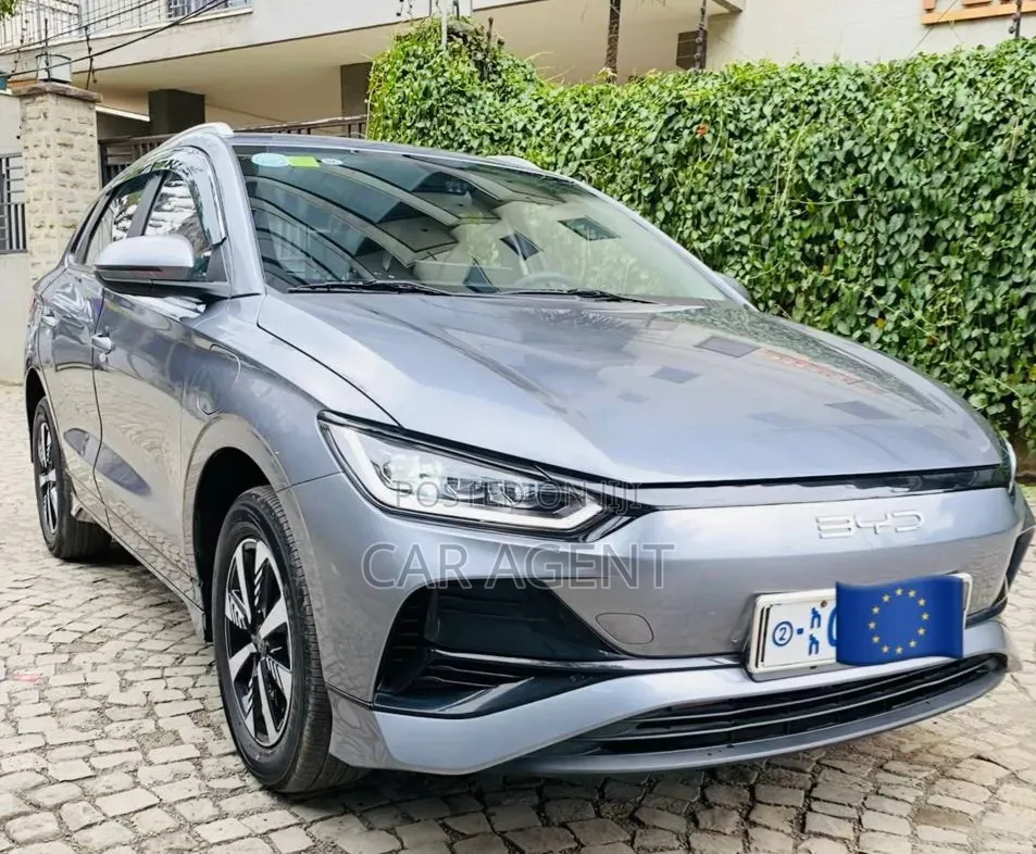 BYD E2 43 kWh 94 hp FWD 2025 Gray