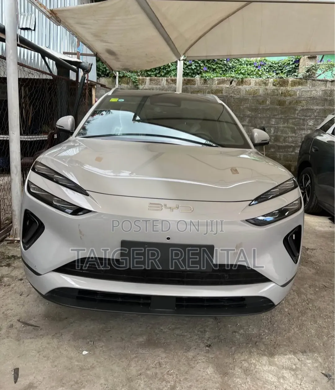 Byd Selion 06 Rent