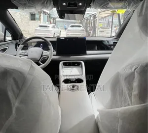 Byd Selion 06 Rent