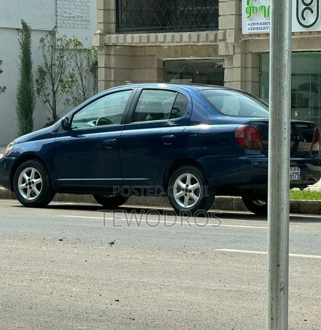 Platz for Rent