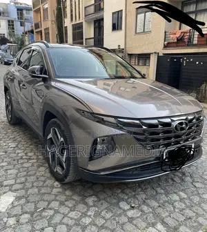 Hyundai Tucson 2022 Gray