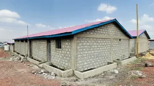 Cattle Farm