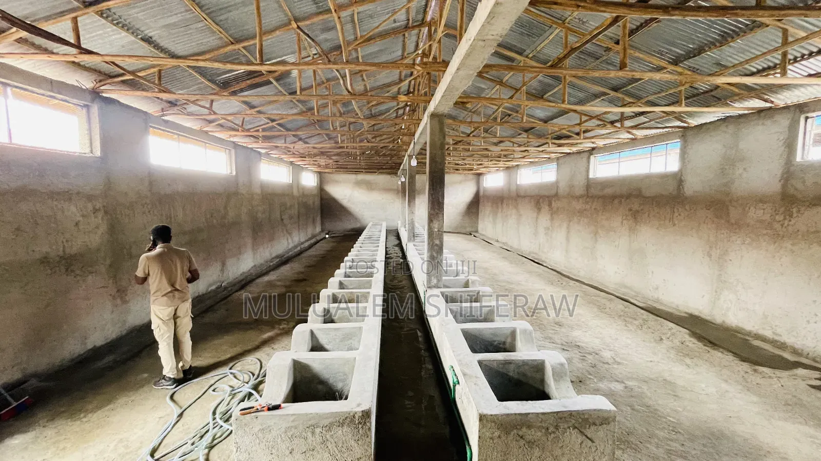 Cattle Farm
