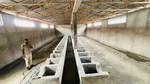 Cattle Farm