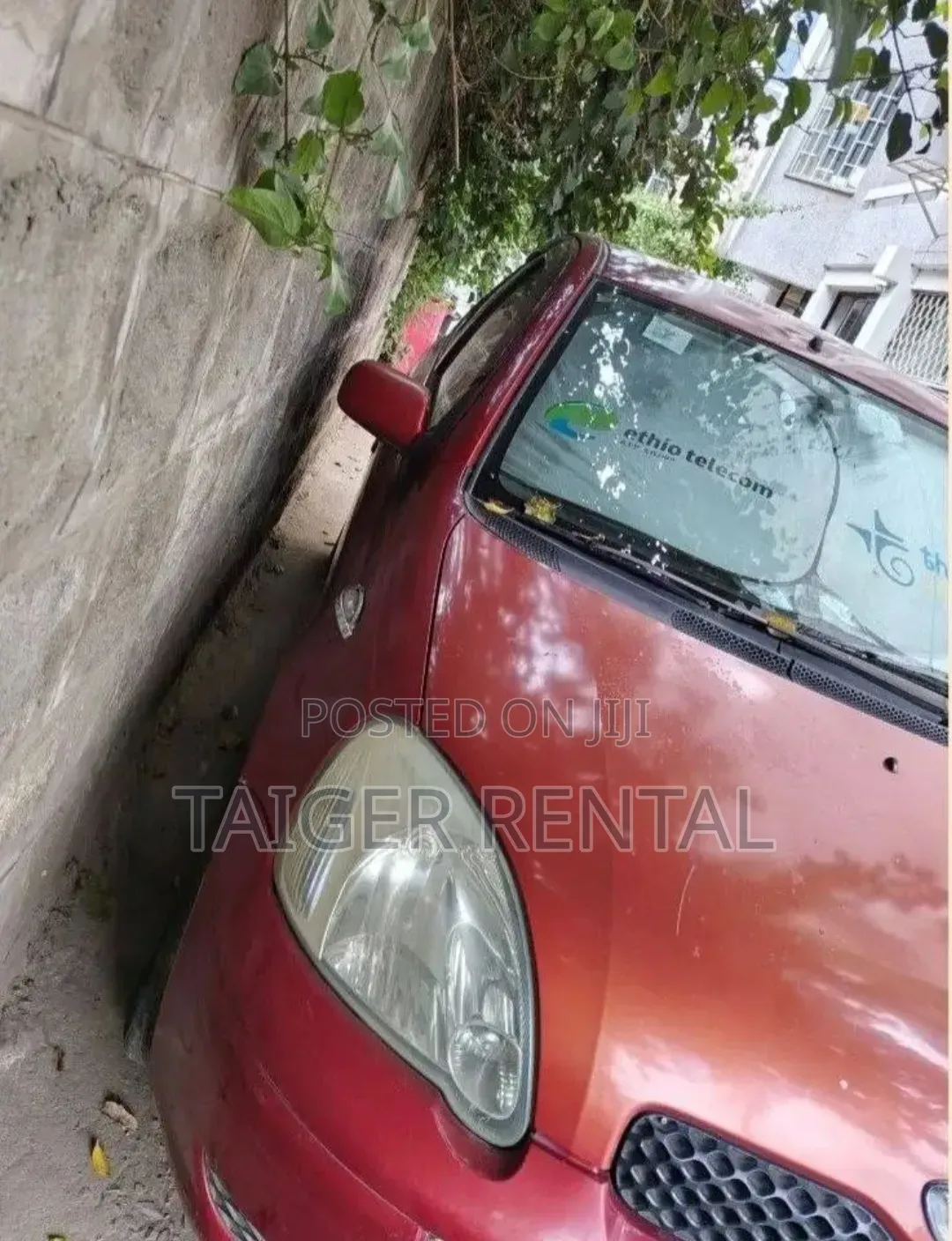 Toyota Vitz Rent