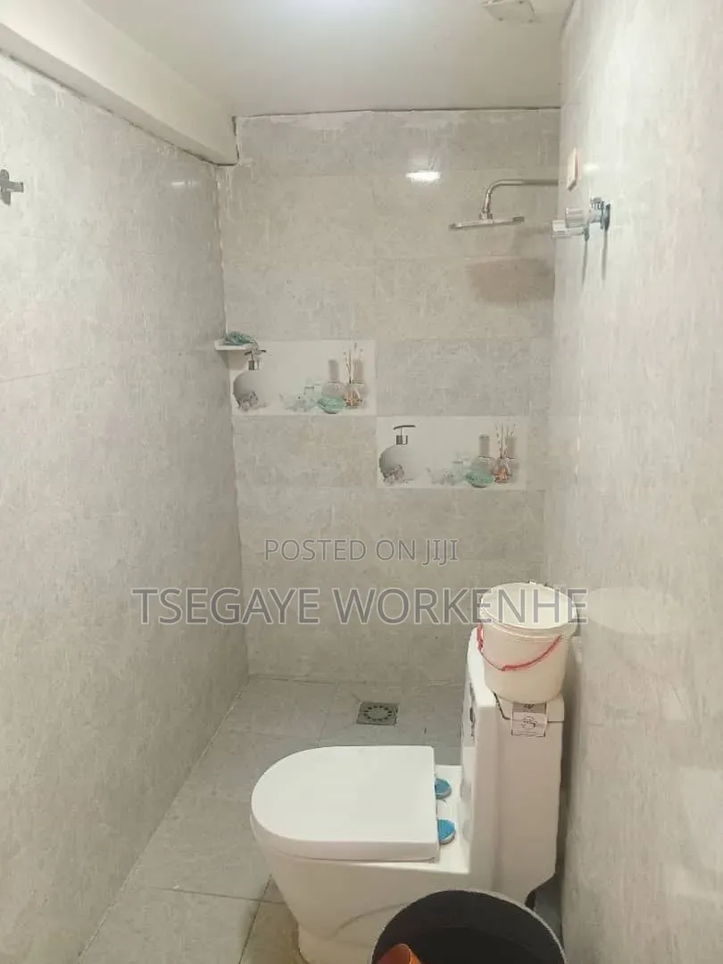 Furnished 1bdrm Condo in Lideta for sale