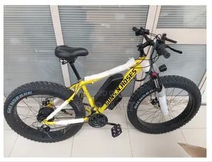 High Quality Electric Bike-ወፍራም ጎማ አንደኛ ደረጃ የኤሌክትሪክ ሳይክል