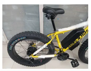 High Quality Electric Bike-ወፍራም ጎማ አንደኛ ደረጃ የኤሌክትሪክ ሳይክል