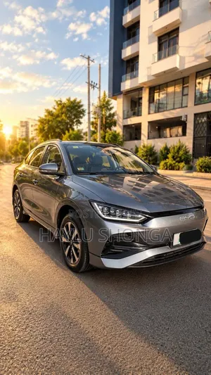 BYD E2 43 kWh 94 hp FWD 2025 Gray