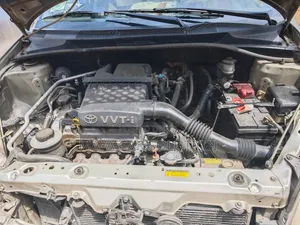 Toyota Vitz 2002 Gold
