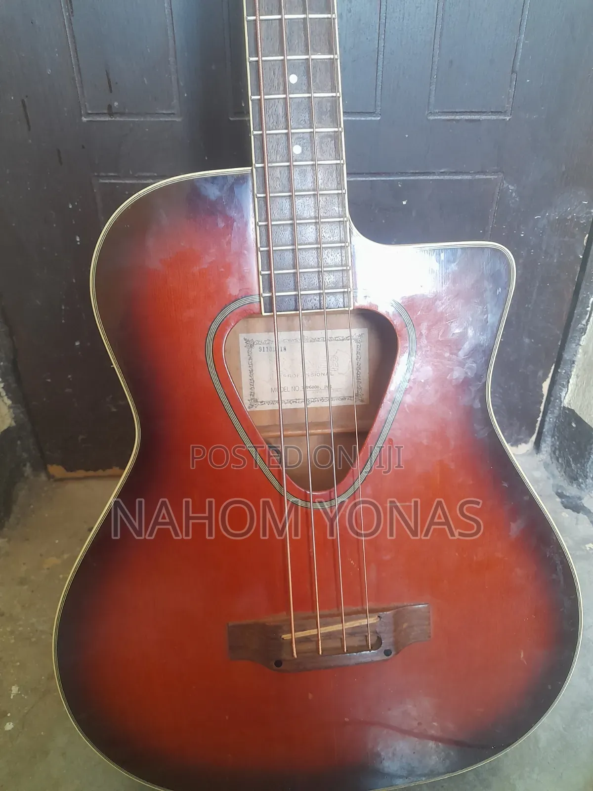 Acoustic Bass Guitar