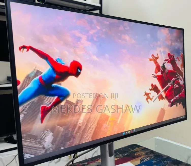 HP Z Series 25inch