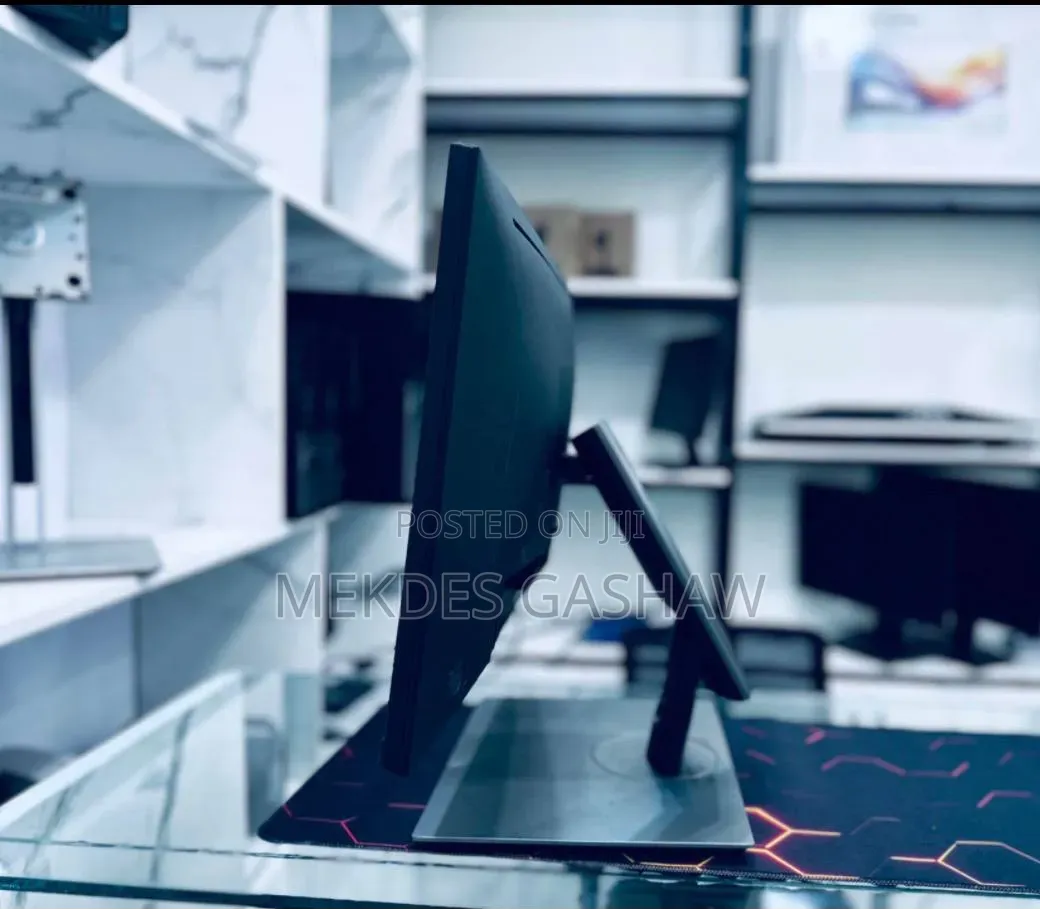 Dell 24 Inch Monitor