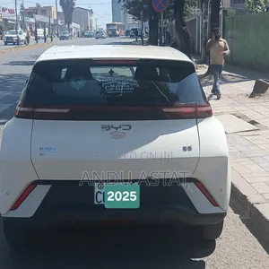 BYD Seagull 2024 White