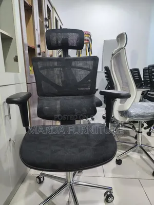 Ergonomic Chair
