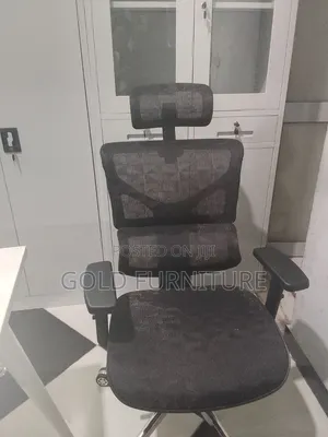 Ergonomic Chair