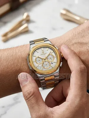 Poedagar Men Chronograph Quartz Watch in a Two-Tone Gold and Silver