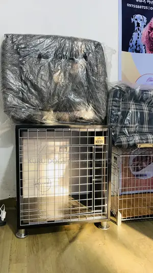 የውሻ ቤት Dogs Cage House