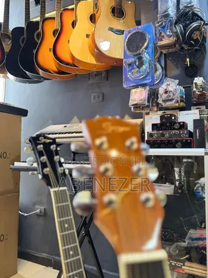 Smiger Guitar