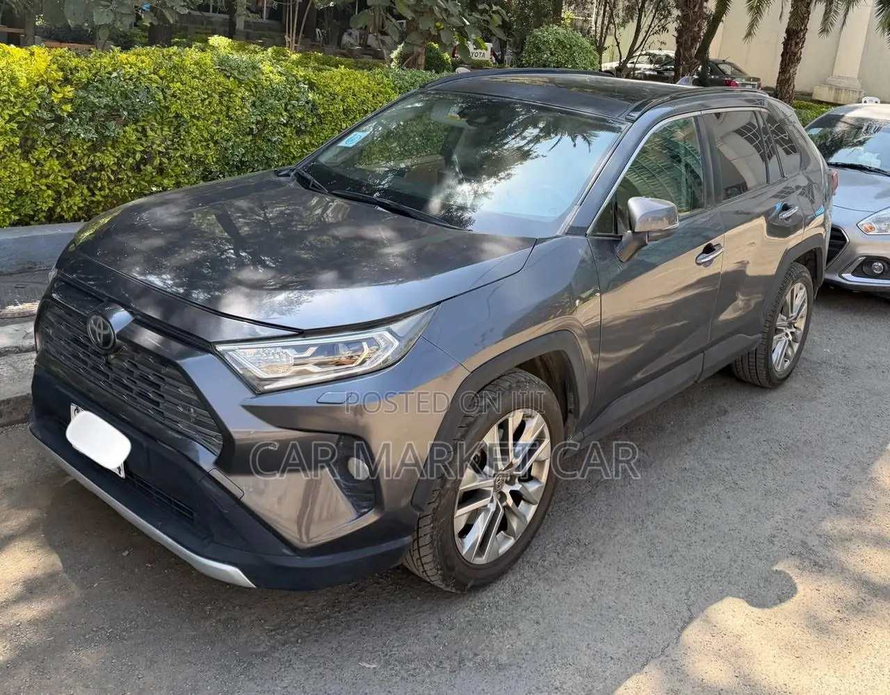 Toyota RAV4 LE AWD 2019 Gray