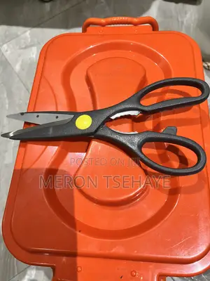 Lotus Kitchen Scissors